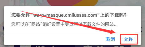 MASQUE配置文件